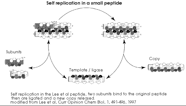 [Self-replicator figure]