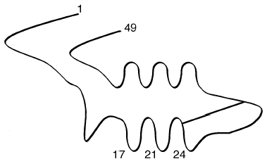 Osteocalcin secondary structure