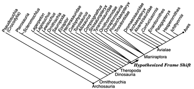 Dinosaur cladogram