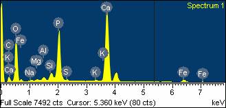 Sample 4 EDX results